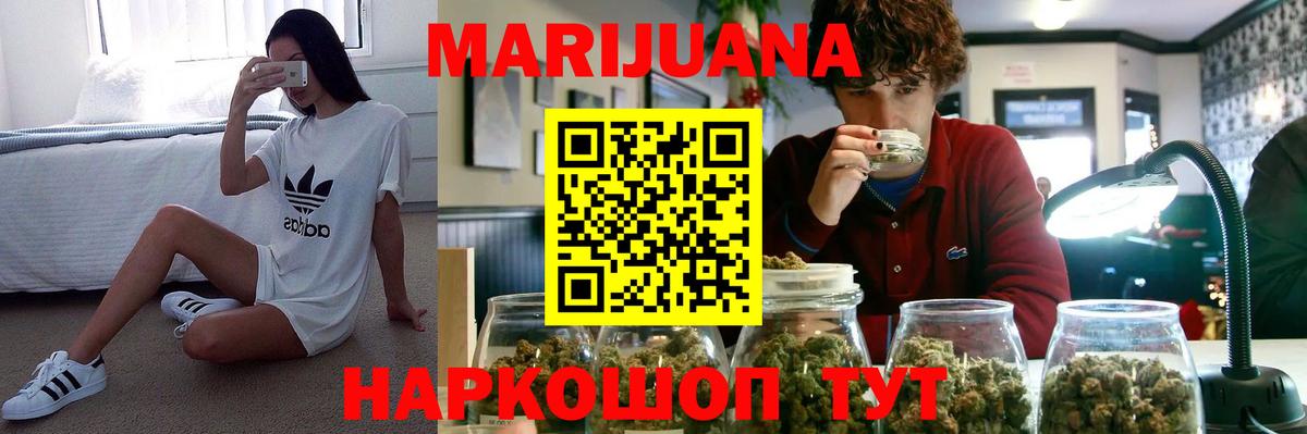 Конопля планчик Карачаевск